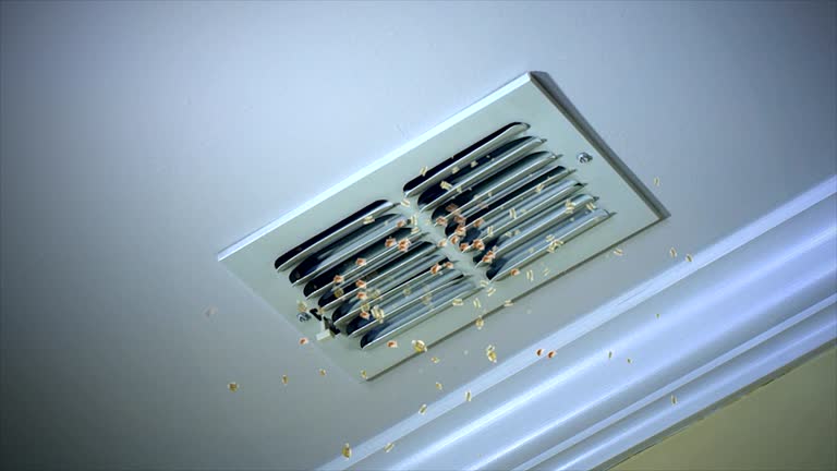 Best Home Air Vent Cleaning  in Chilhowie, VA