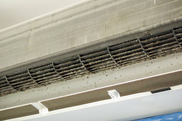 Best Local Air Duct Cleaning Services  in Chilhowie, VA